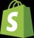 Shopify Partner